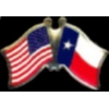 TEXAS PIN STATE FLAG USA FRIENDSHIP FLAGS PIN